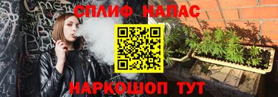 амф Гусь-Хрустальный
