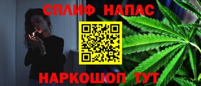 амф Гусь-Хрустальный