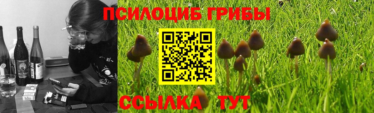 Галлюциногенные грибы прущие грибы Ликино-Дулёво