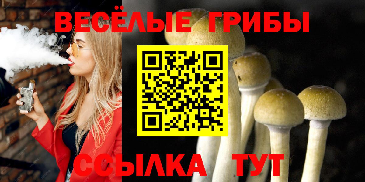 Галлюциногенные грибы Magic Shrooms  Псилоцибиновые грибы ЛСД  Ликино-Дулёво  Вход с VPN 
